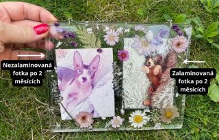 Dotazy na to, jestli laminovat nebo ne se stále opakují. Podle fotky vidíš, co bychom ti doporučili, není to ani potřeba...